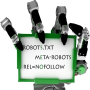 meta name robots